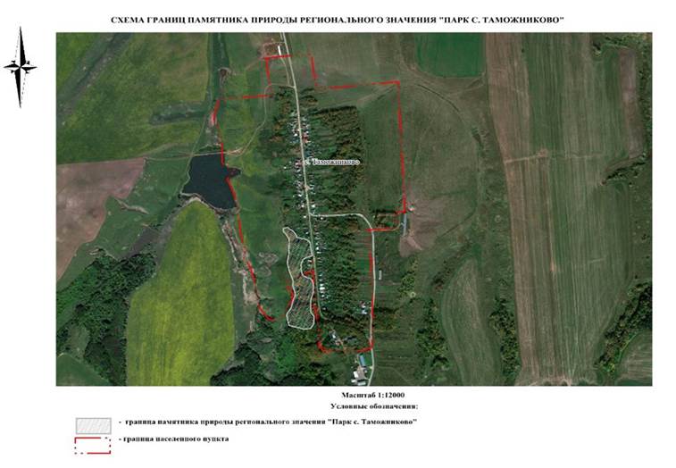 Постановление Правительства Нижегородской области от 27.05.2026 N 227 "Об особо охраняемой природной территории регионального значения "Памятник природы "Парк с. Таможниково", расположенной в Дальнеконстантиновском муниципальном округе Нижегородской области". Рис. 1