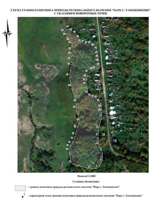 Постановление Правительства Нижегородской области от 27.05.2026 N 227 "Об особо охраняемой природной территории регионального значения "Памятник природы "Парк с. Таможниково", расположенной в Дальнеконстантиновском муниципальном округе Нижегородской области". Рис. 2