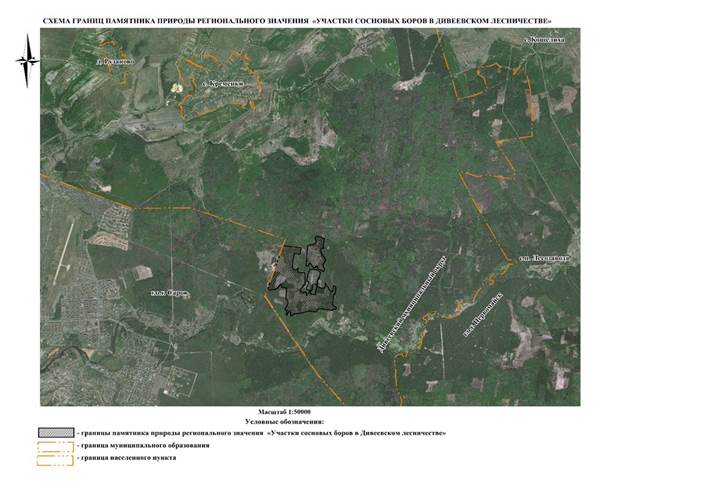 Постановление Правительства Нижегородской области от 27.05.2026 N 228 "Об особо охраняемой природной территории регионального значения "Памятник природы "Участки сосновых боров в Дивеевском лесничестве", расположенной в Дивеевском муниципальном округе Нижегородской области". Рис. 2