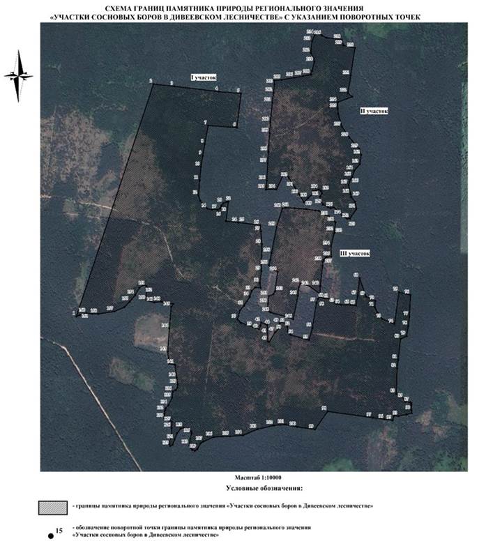 Постановление Правительства Нижегородской области от 27.05.2026 N 228 "Об особо охраняемой природной территории регионального значения "Памятник природы "Участки сосновых боров в Дивеевском лесничестве", расположенной в Дивеевском муниципальном округе Нижегородской области". Рис. 3