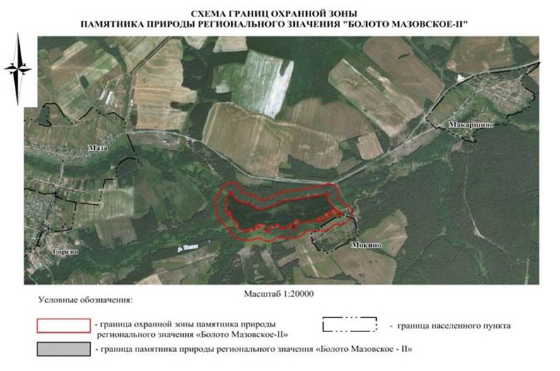 Указ Губернатора Нижегородской области от 04.07.2025 N 129 "Об установлении охранной зоны памятника природы регионального значения "Болото Мазовское - II"