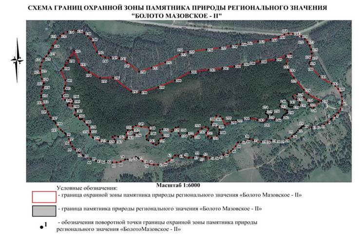 Указ Губернатора Нижегородской области от 04.07.2025 N 129 "Об установлении охранной зоны памятника природы регионального значения "Болото Мазовское - II"