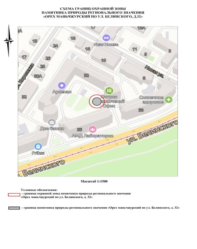 Указ Губернатора Нижегородской области от 24.07.2025 N 149 "Об установлении охранной зоны памятника природы регионального значения "Орех маньчжурский по ул. Белинского, д. 32"