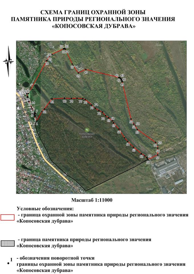 Указ Губернатора Нижегородской области от 24.09.2025 N 197 "Об установлении охранной зоны памятника природы регионального значения "Копосовская дубрава"