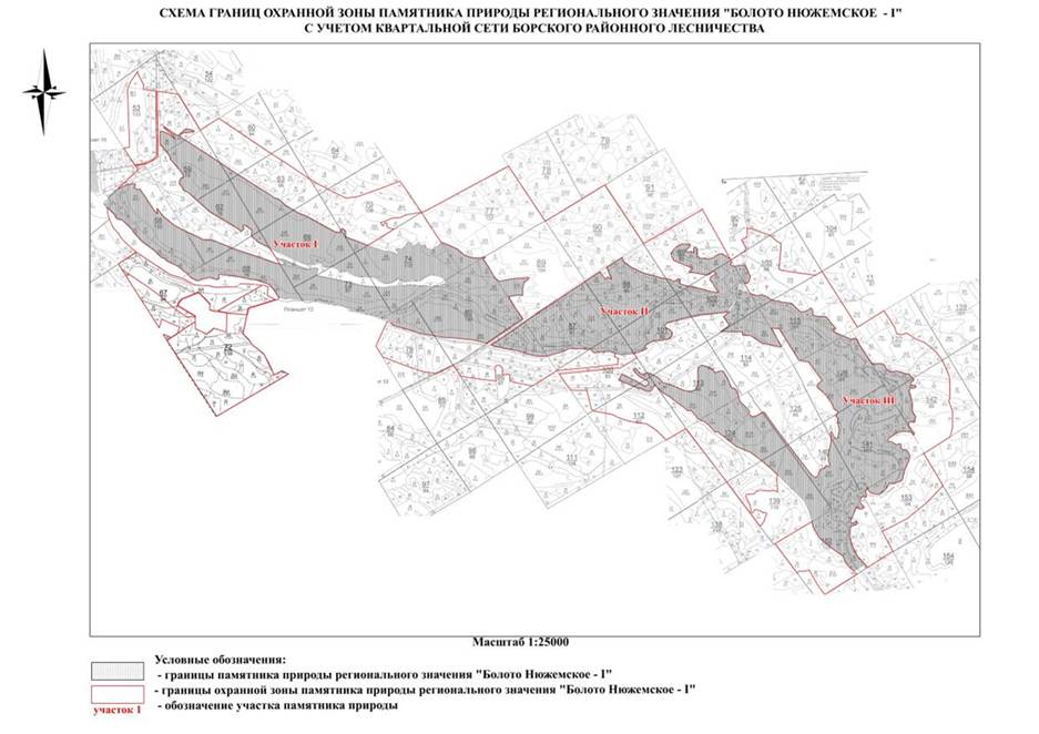 Указ Губернатора Нижегородской области от 24.09.2025 N 199 "Об установлении охранной зоны памятника природы регионального значения "Болото Нюжемское - I"