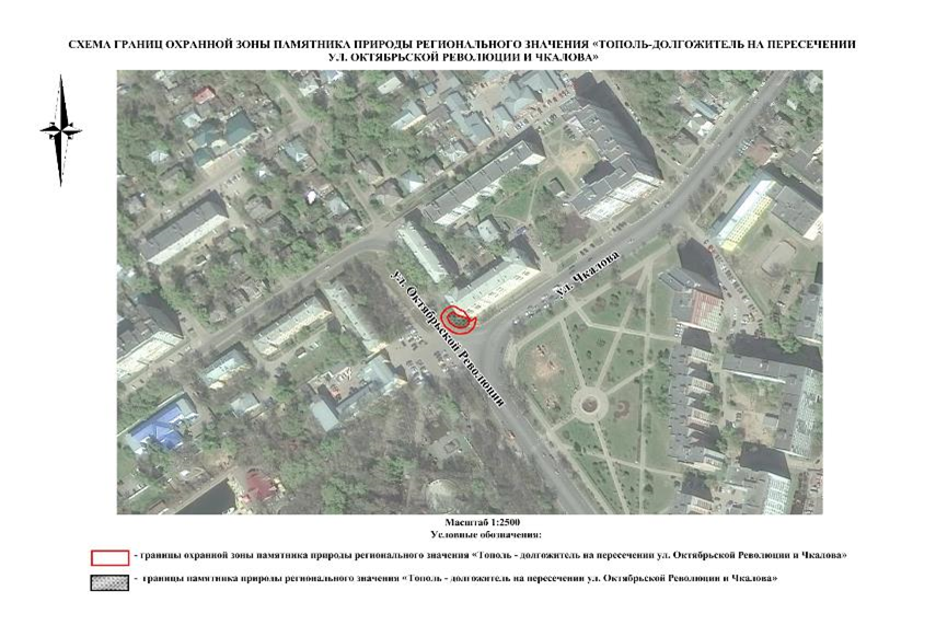 Указ Губернатора Нижегородской области от 13.01.2026 N 1 "Об установлении охранной зоны памятника природы регионального значения "Тополь-долгожитель на пересечении улиц Октябрьской Революции и Чкалова". Рис. 1