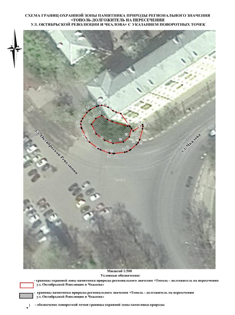 Указ Губернатора Нижегородской области от 13.01.2026 N 1 "Об установлении охранной зоны памятника природы регионального значения "Тополь-долгожитель на пересечении улиц Октябрьской Революции и Чкалова". Рис. 2