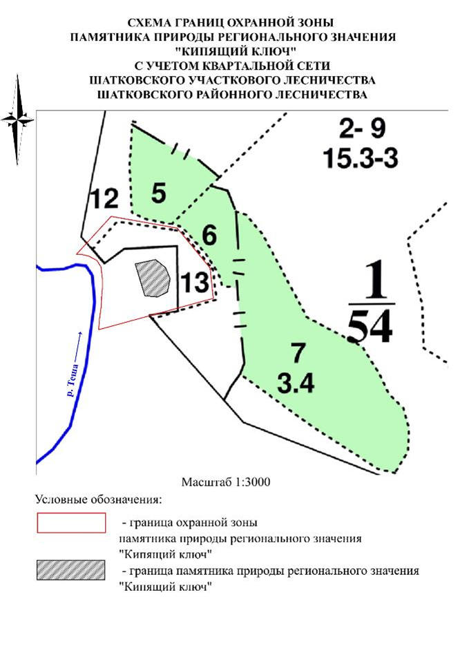 Указ Губернатора Нижегородской области от 20.02.2026 N 33 "Об установлении охранной зоны памятника природы регионального значения "Кипящий ключ". Рис. 2