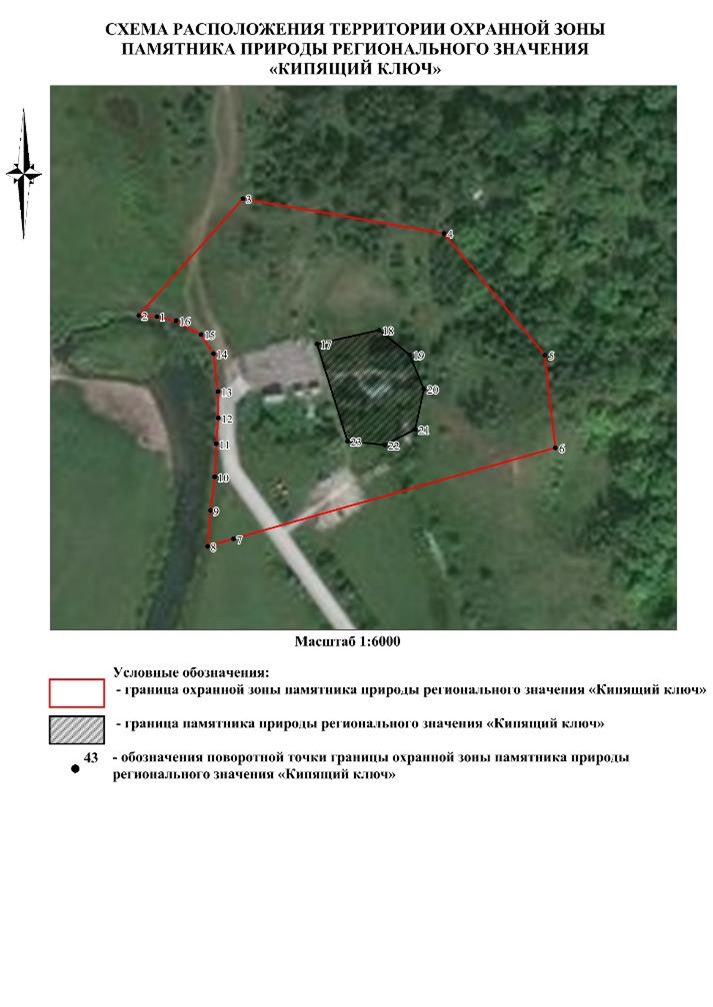 Указ Губернатора Нижегородской области от 20.02.2026 N 33 "Об установлении охранной зоны памятника природы регионального значения "Кипящий ключ". Рис. 3