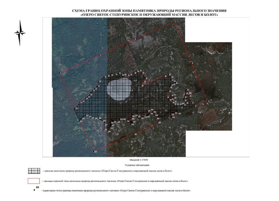 Указ Губернатора Нижегородской области от 20.02.2026 N 34 "Об установлении охранной зоны памятника природы регионального значения "Озеро Святое Степуринское и окружающий массив лесов и болот". Рис. 3