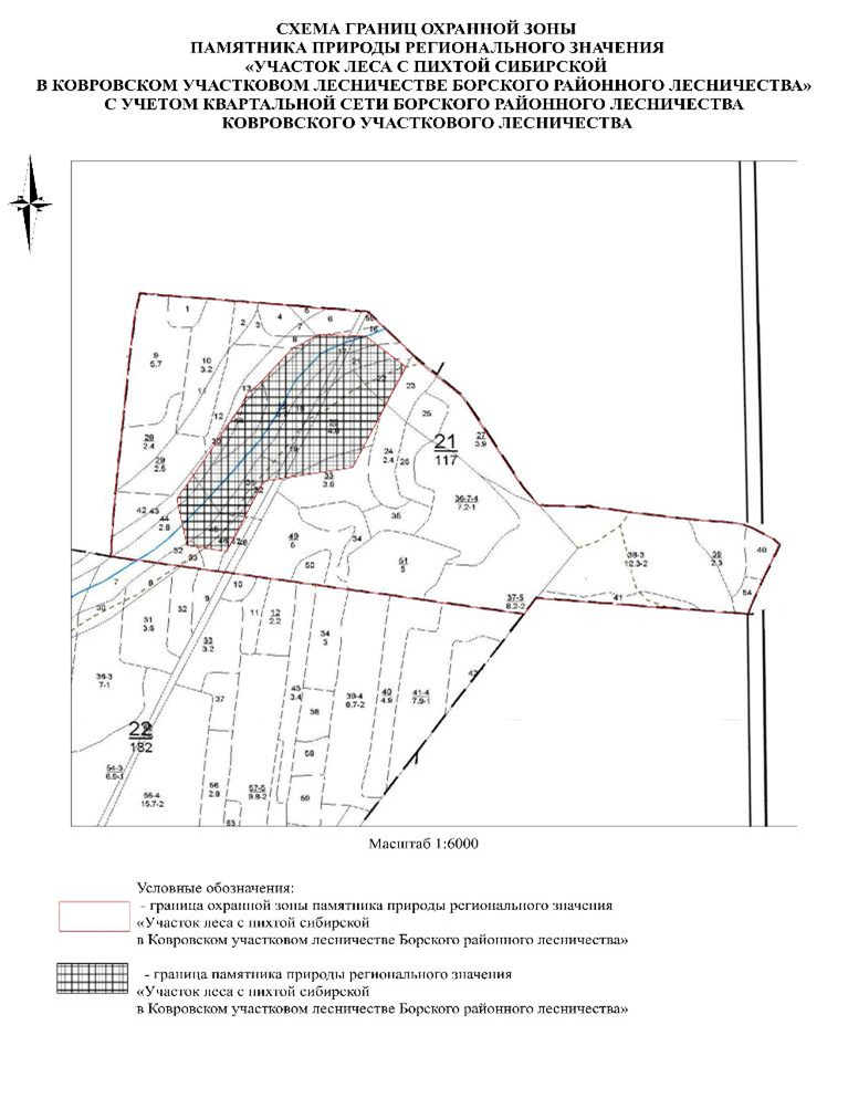 Указ Губернатора Нижегородской области от 20.02.2026 N 35 "Об установлении охранной зоны памятника природы регионального значения "Участок леса с пихтой сибирской в Ковровском участковом лесничестве Борского районного лесничества". Рис. 2