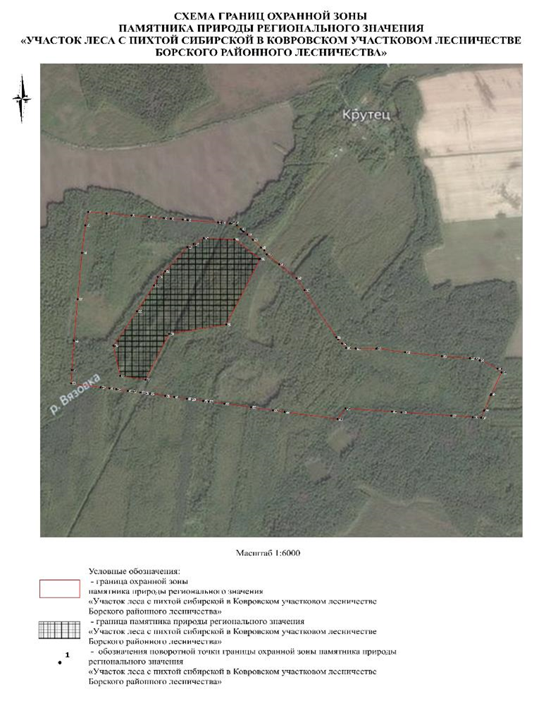 Указ Губернатора Нижегородской области от 20.02.2026 N 35 "Об установлении охранной зоны памятника природы регионального значения "Участок леса с пихтой сибирской в Ковровском участковом лесничестве Борского районного лесничества". Рис. 3