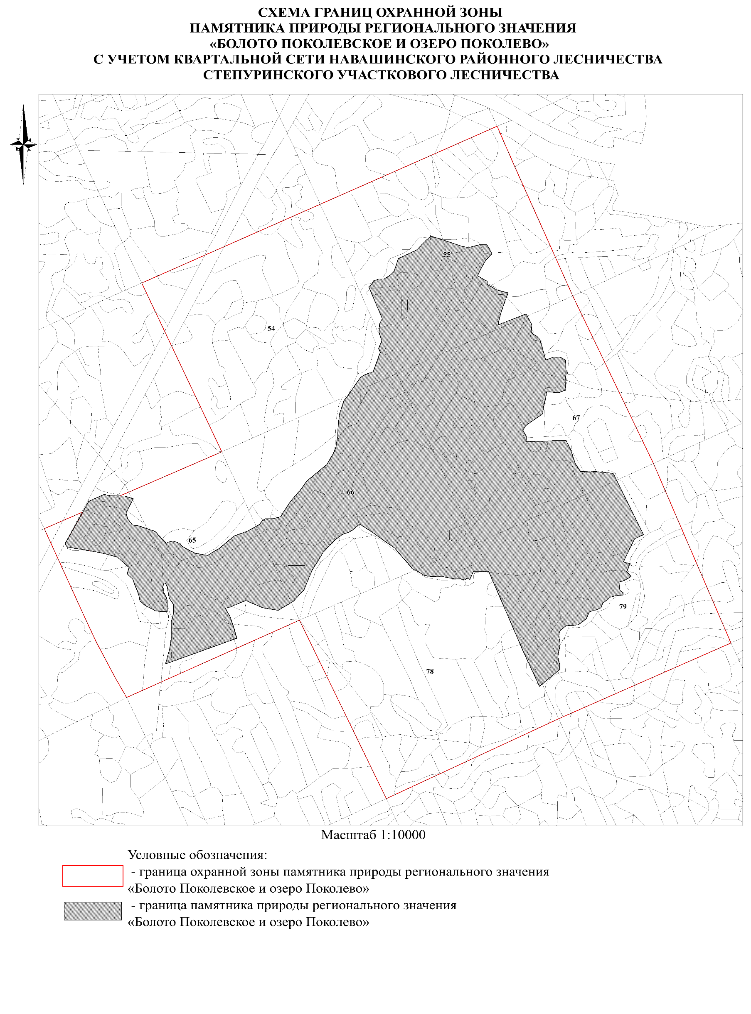 Указ Губернатора Нижегородской области от 08.04.2026 N 85 "Об установлении охранной зоны особо охраняемой природной территории регионального значения "Памятник природы "Болото Поколевское и озеро Поколево". Рис. 2